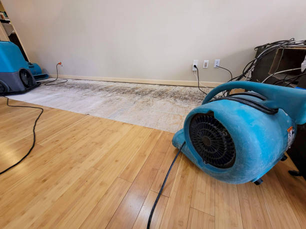 Professional Water Damage Repair technician working in Gowrie, IA